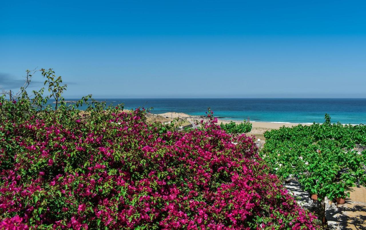 Panorama Hotel Falasarna Dış mekan fotoğraf